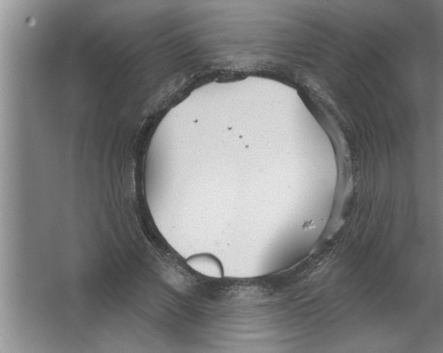 X0000067470685200604281854