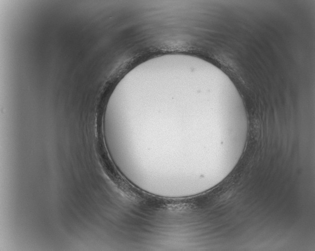 X0000067470686200604281854