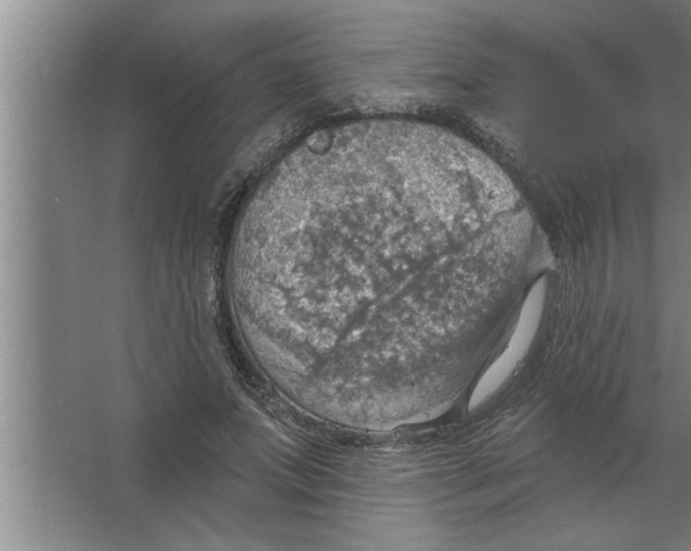 X0000067470687200604281854