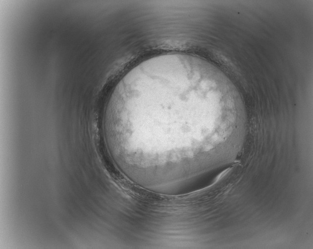 X0000067470688200604281854