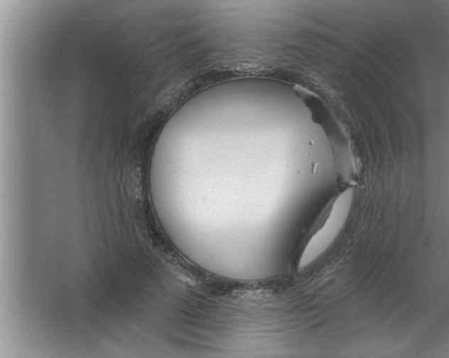 X0000067470689200604281854