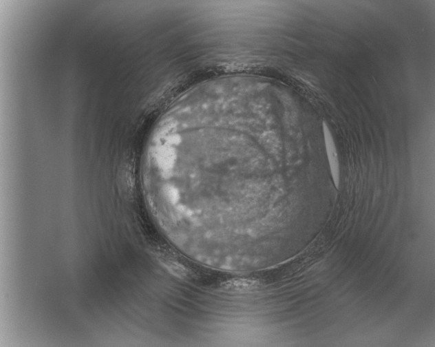 X0000067470691200604281854