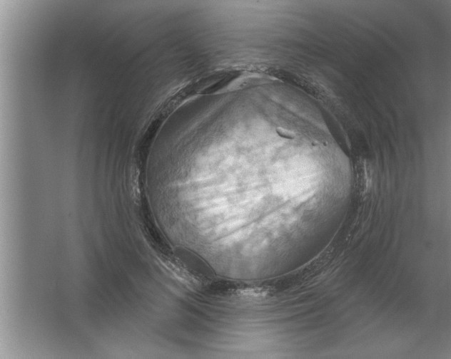 X0000067470692200604281854