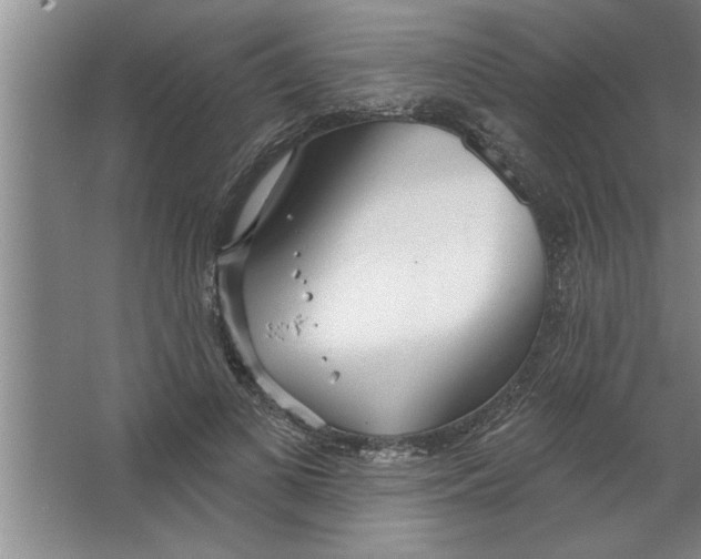 X0000067470693200604281854