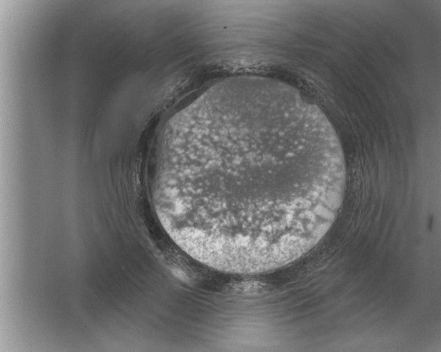 X0000067470695200604281854