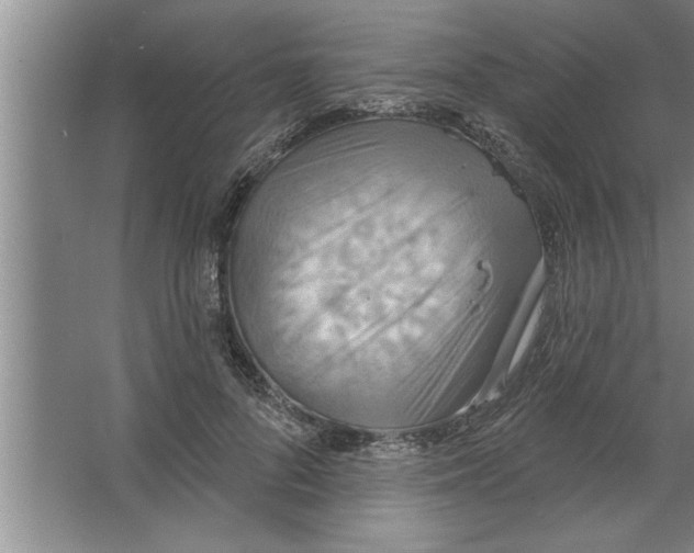 X0000067470696200604281854