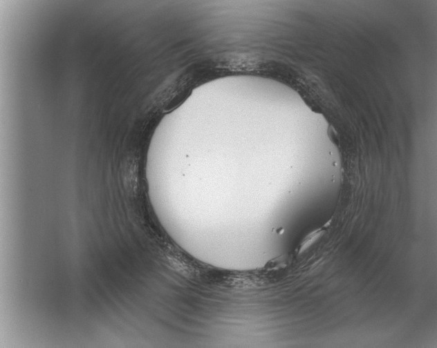 X0000067470697200604281854