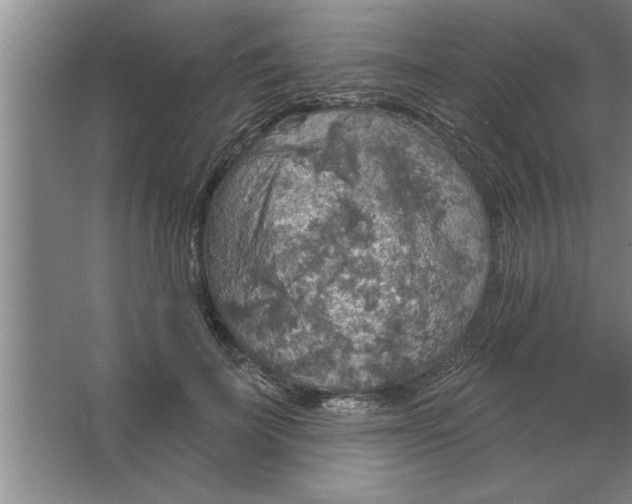 X0000067470699200604281854