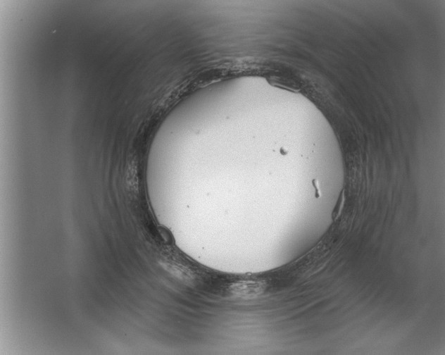 X0000067470700200604281854