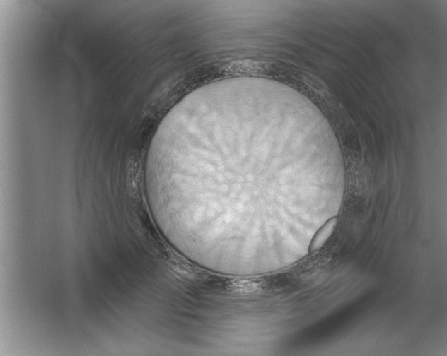 X0000067470701200604281854