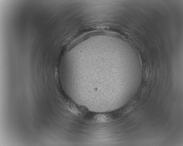 X0000067470704200604281854