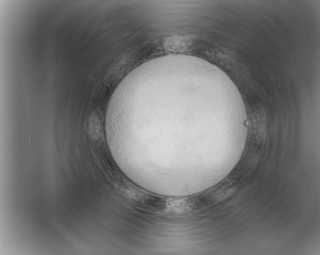 X0000067470705200604281854