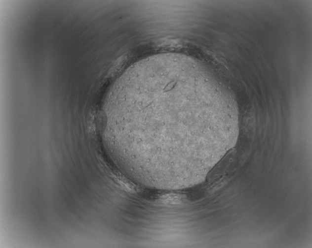 X0000067470708200604281854