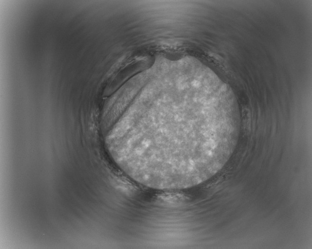 X0000067470712200604281854