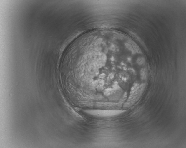 X0000067470721200604281853