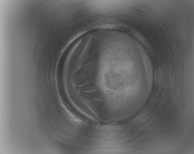 X0000067470722200604281853