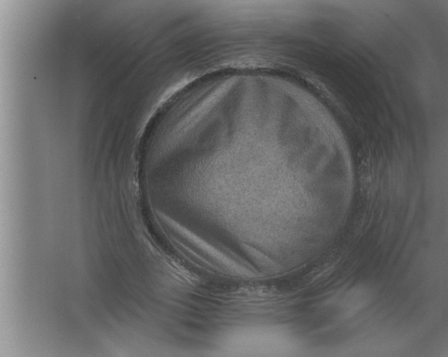 X0000067470727200604281853