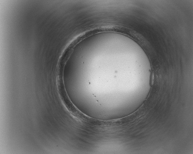 X0000067470728200604281853