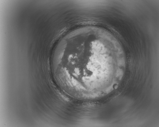 X0000067470729200604281853