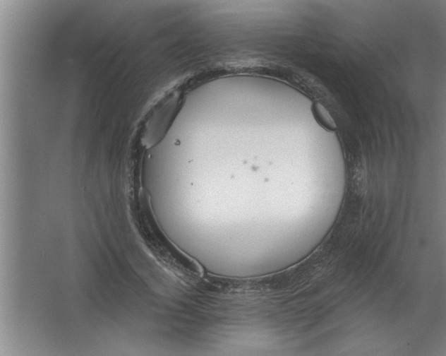 X0000067470732200604281853