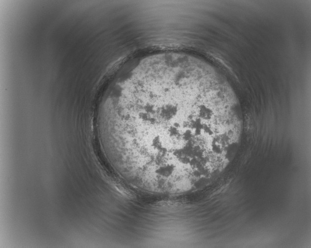 X0000067470733200604281853