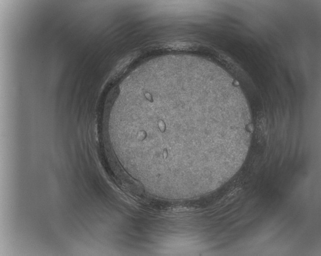 X0000067470734200604281853