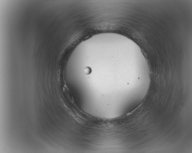 X0000067470735200604281853