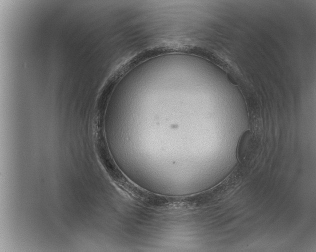 X0000067470736200604281853