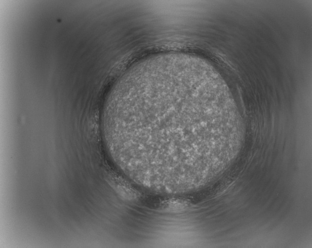 X0000067470737200604281853