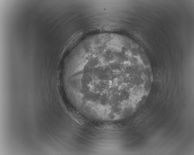 X0000067470738200604281853