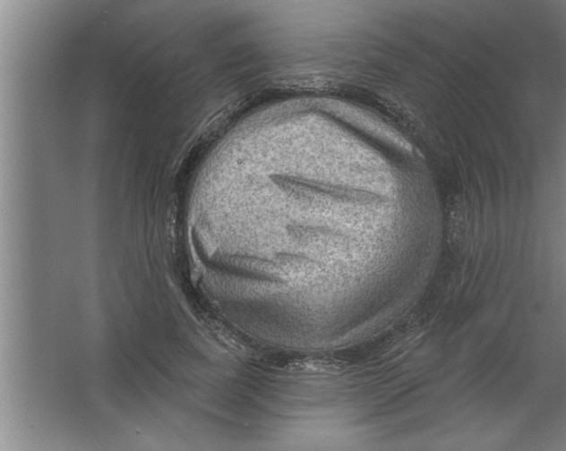 X0000067470739200604281853