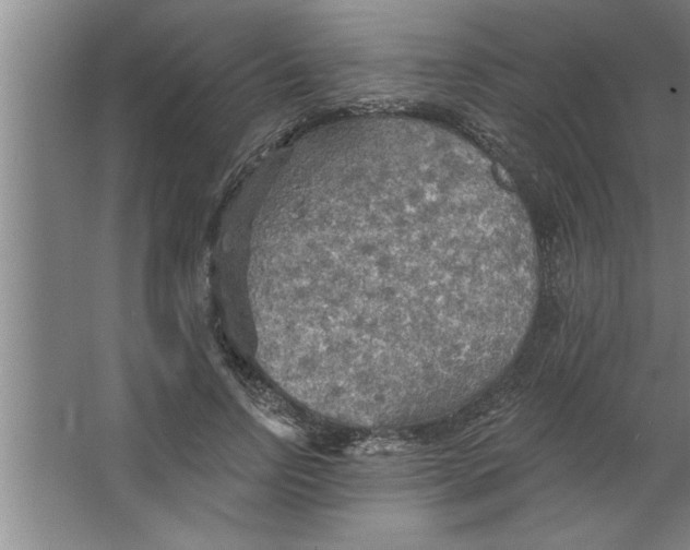 X0000067470742200604281853