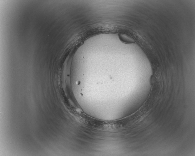 X0000067470744200604281853