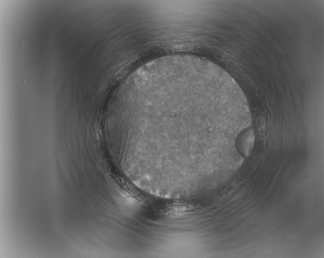 X0000067470746200604281853