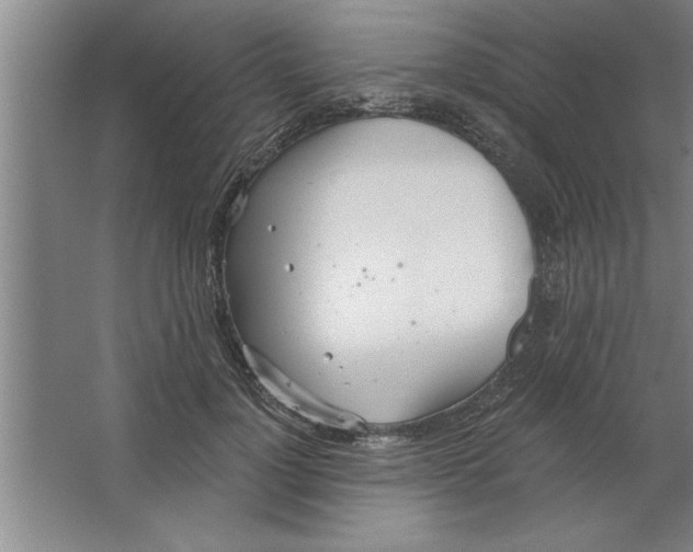 X0000067470748200604281854