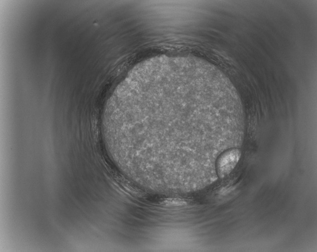 X0000067470749200604281854