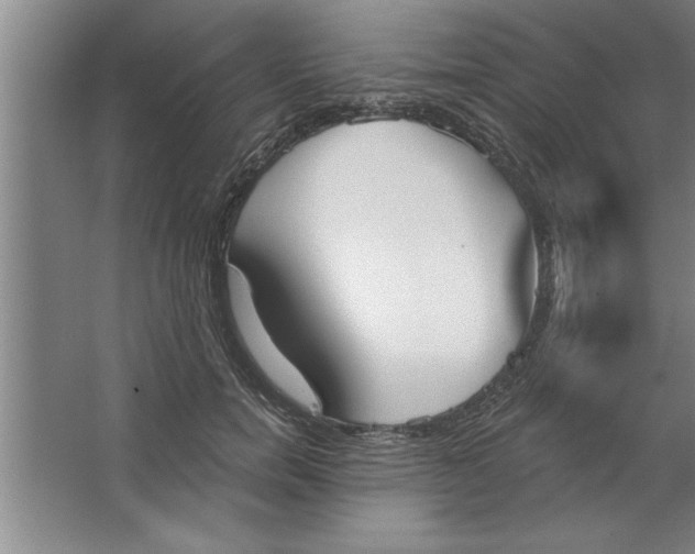 X0000067470750200604281854