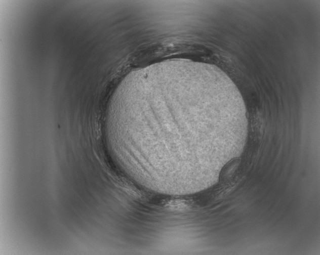 X0000067470751200604281854