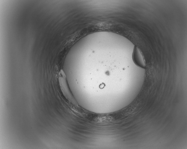 X0000067470752200604281854