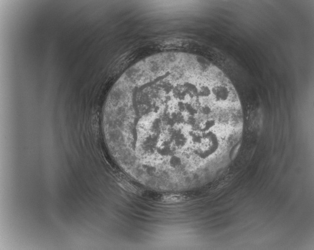 X0000067470753200604281854