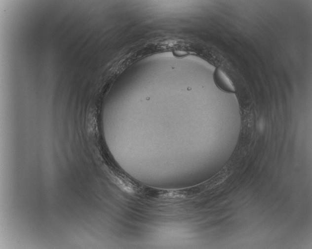 X0000067470754200604281854