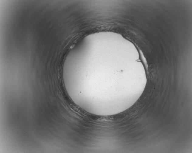 X0000067470756200604281854