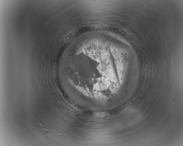 X0000067470757200604281854