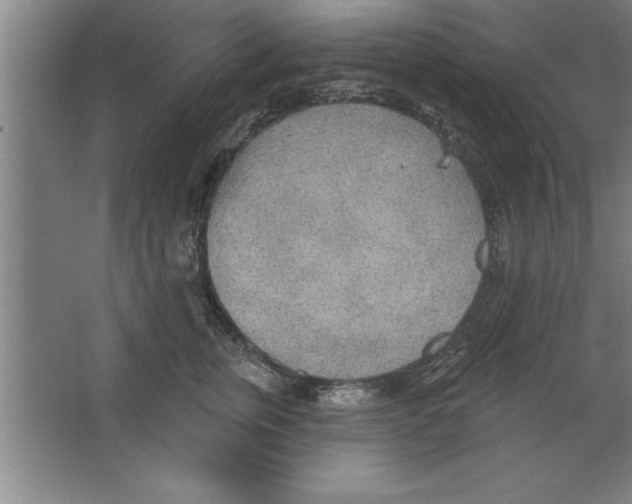 X0000067470759200604281854