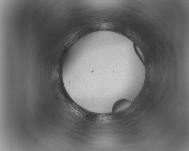 X0000067470760200604281854