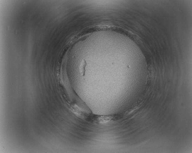 X0000067470762200604281854