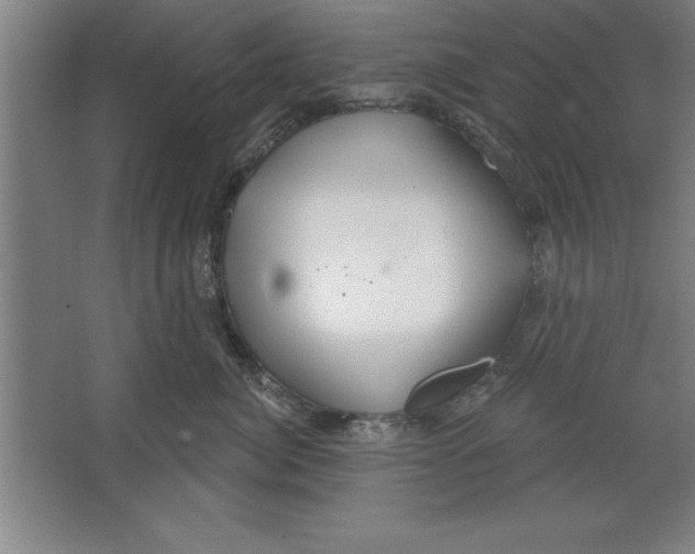 X0000067470764200604281854