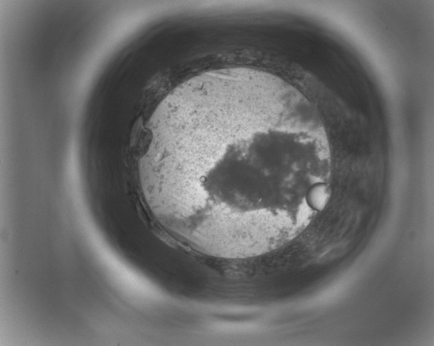 X0000067470765200604281854