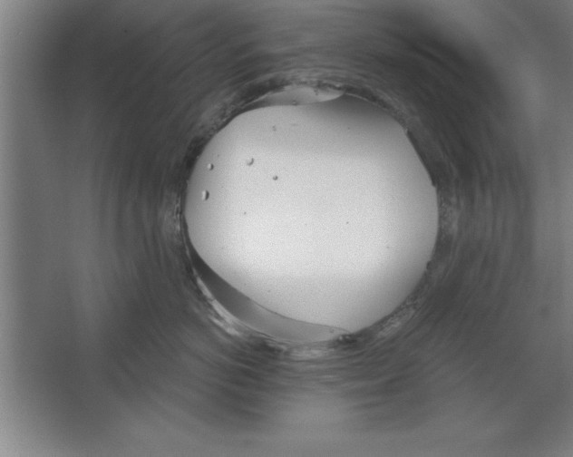 X0000067470766200604281854