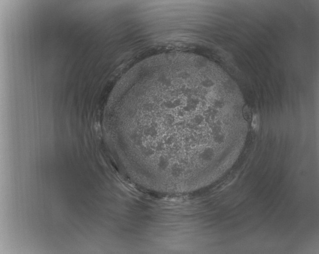 X0000067470771200604281853